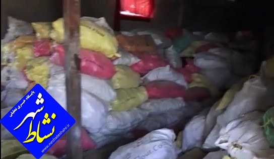بلا استفاده شدن بیش از ۲۰۰ هزار تن سیب زمینی در انبار‌های شهرستان بهار