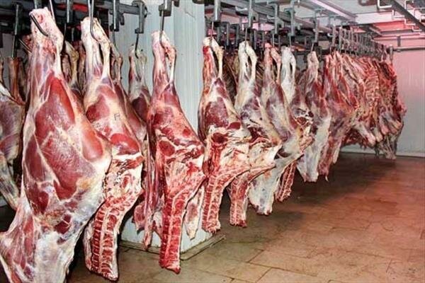 گلایه دامداران همدانی؛ از زخم توزیع ناعادلانه نهاده ها تا زنگ هشدار گرانی گوشت