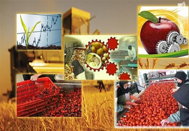 تولیدکنندگان بخش کشاورزی همدان و دغدغه هایی از جنس نبود حمایت