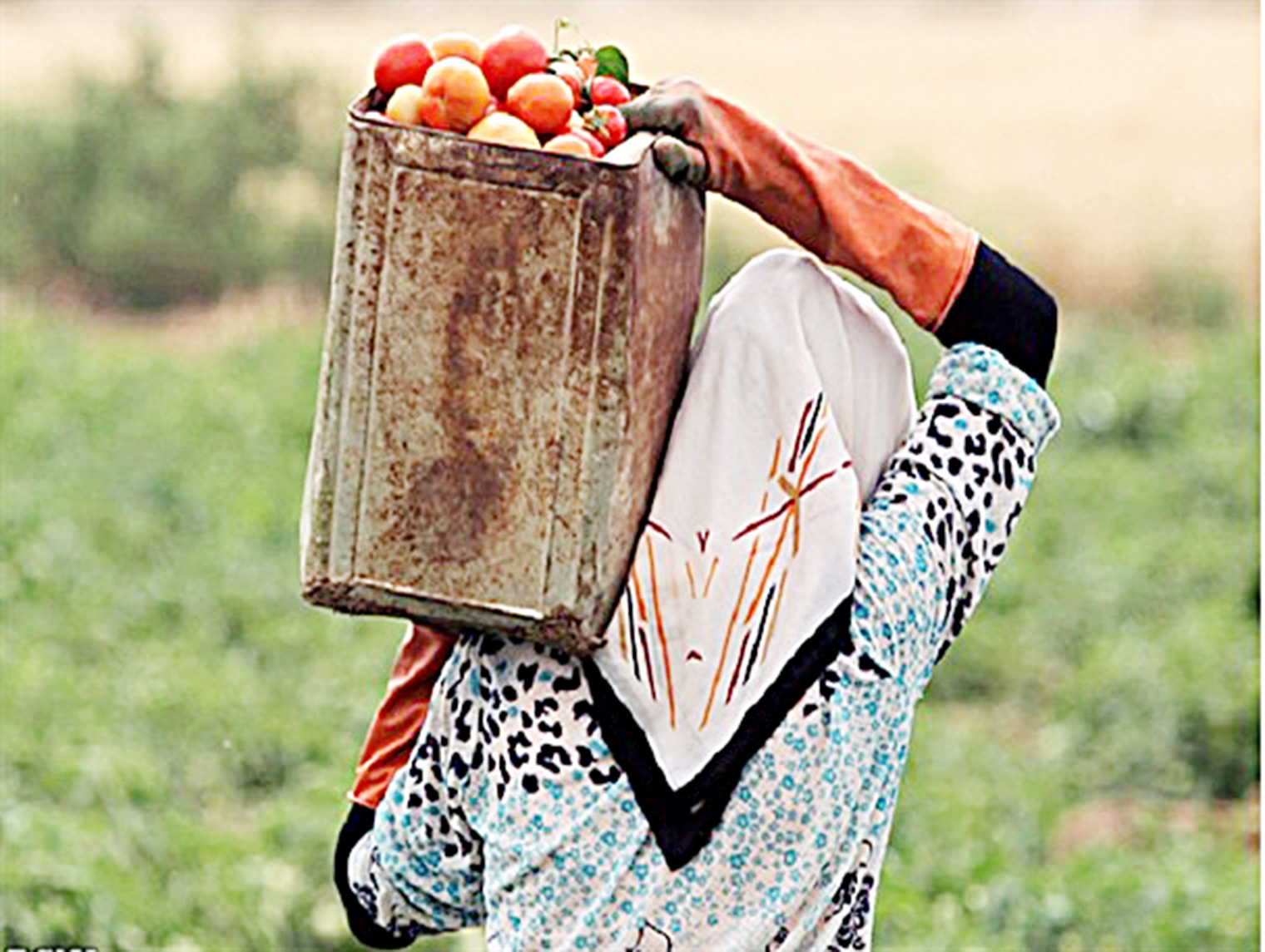 زنان روستایی سرمایه‌هایی که دیده نمی‌شوند