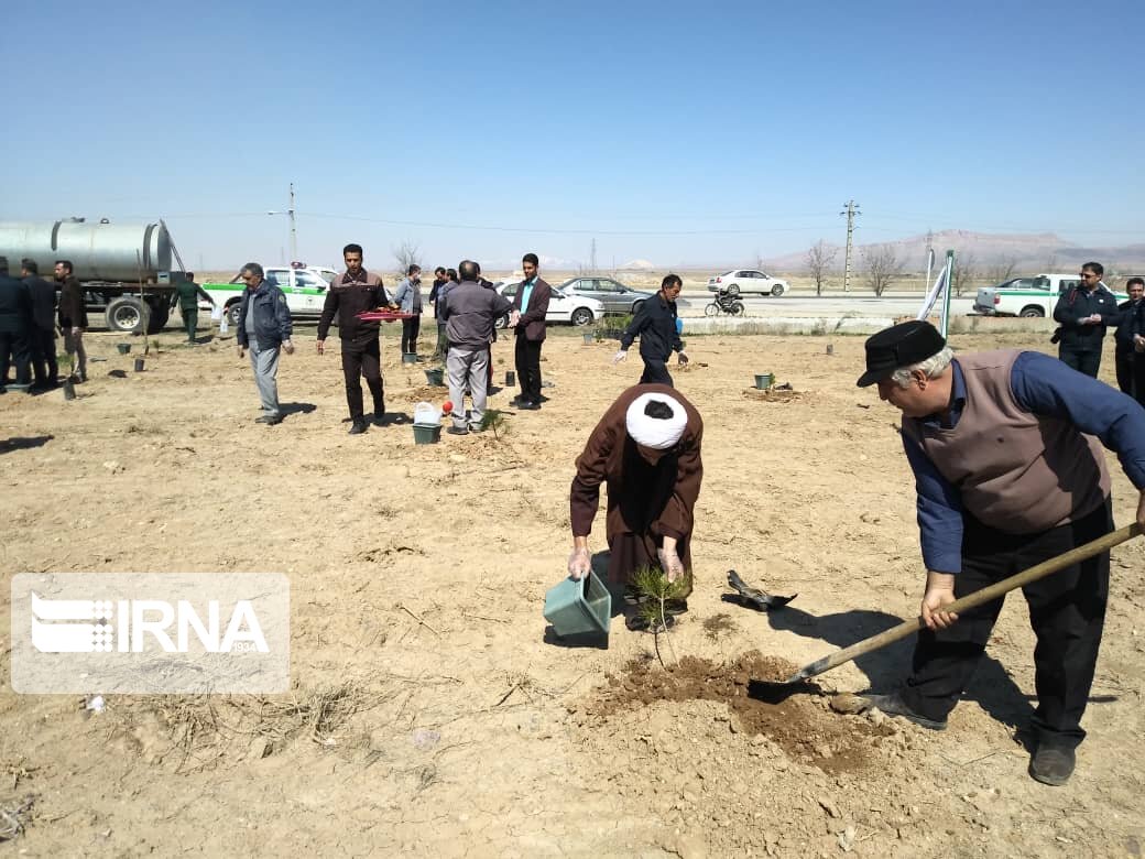 ۷ هزار هکتار نهال کاری در پویش مردمی ایران سرسبز انجام می‌شود