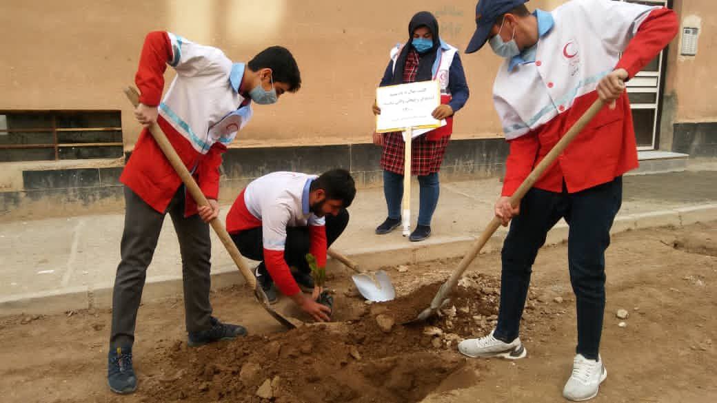 برگزاری طرح پویش سبز کاشت نهال به نام شهدای امدادگر شهرستان بهار به همت جمعیت هلال احمر