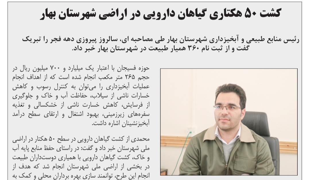 کشت ۵۰ هکتاری گیاهان دارویی در اراضی شهرستان بهار