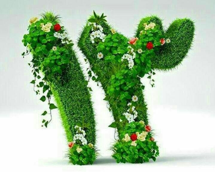 توصیه های فرمانده انتظامي شهرستان بهار برای روز سیزده بدر