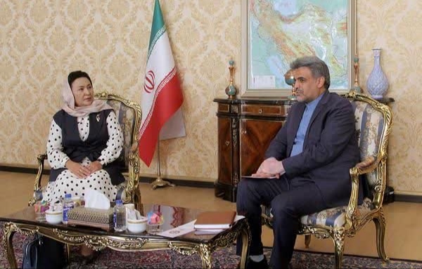 نماینده مجلس قرقیزستان و وزیر سابق این کشور با توسلی ؛رئیس کمیته دیپلماسی اقتصادی مجلس شورای اسلامی دیدار و گفتگو کرد