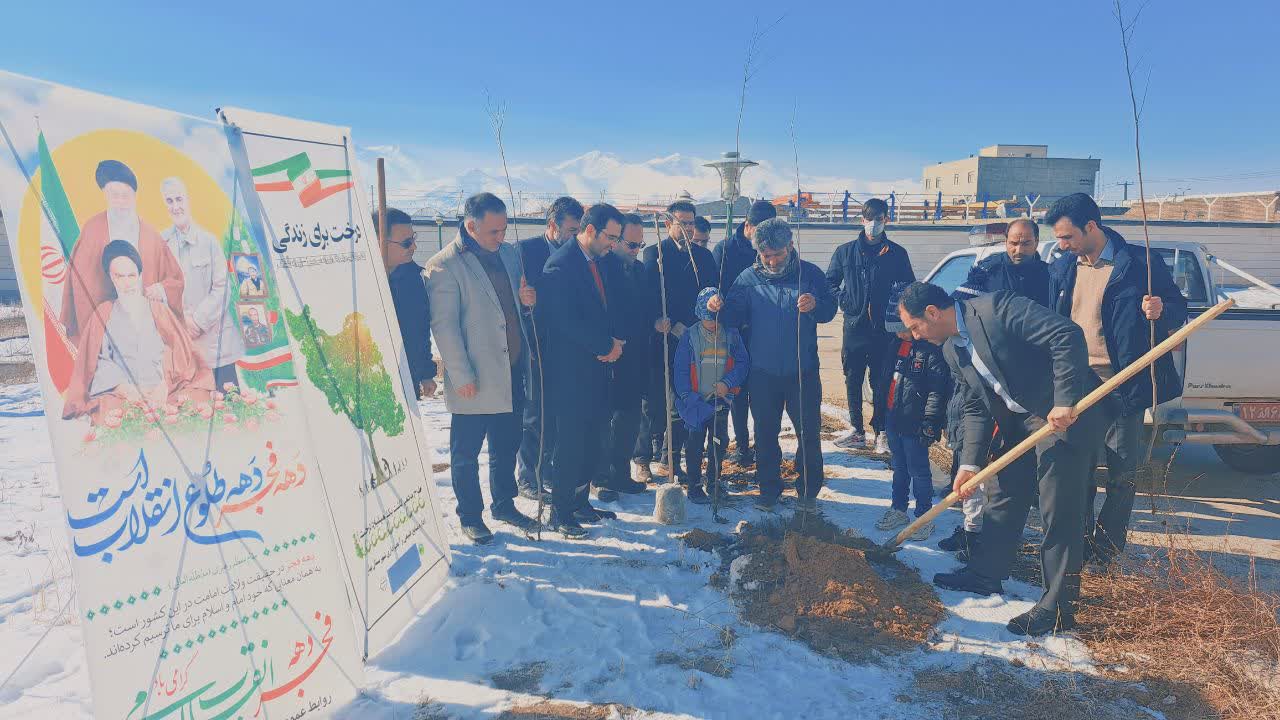 طرح مردمی کاشت یک میلیارد درخت همزمان با مراسم ۲۲ بهمن آغاز شد