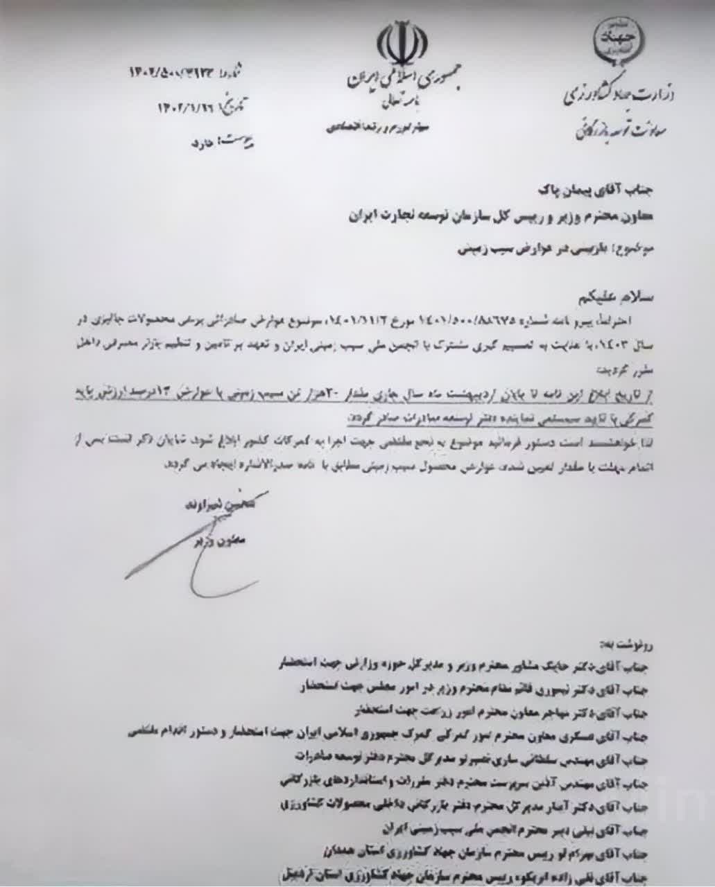 صادرات سیب زمینی آزاد شد‌