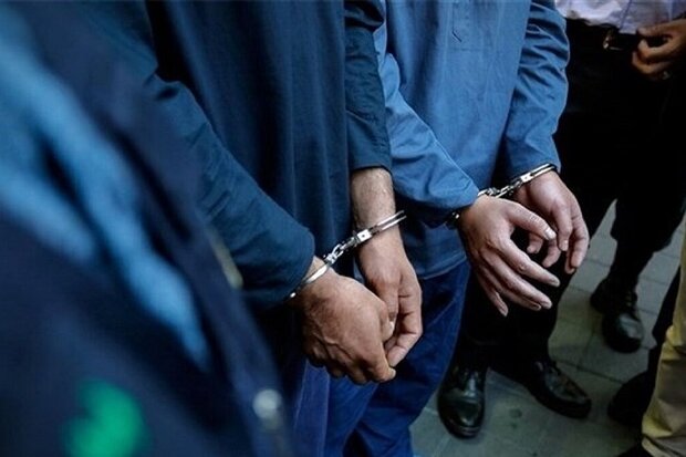 دستگيري 17 سارق در طرح عملياتي مبارزه با سرقت‌ در بهار