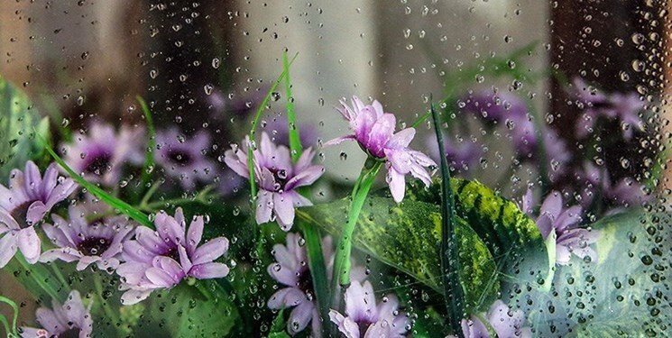 بارش پراکنده باران در راه است