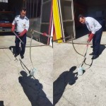 زنده گیری مار حدودا یک و نیم متری توسط آتش نشانان شهرداری بهار
