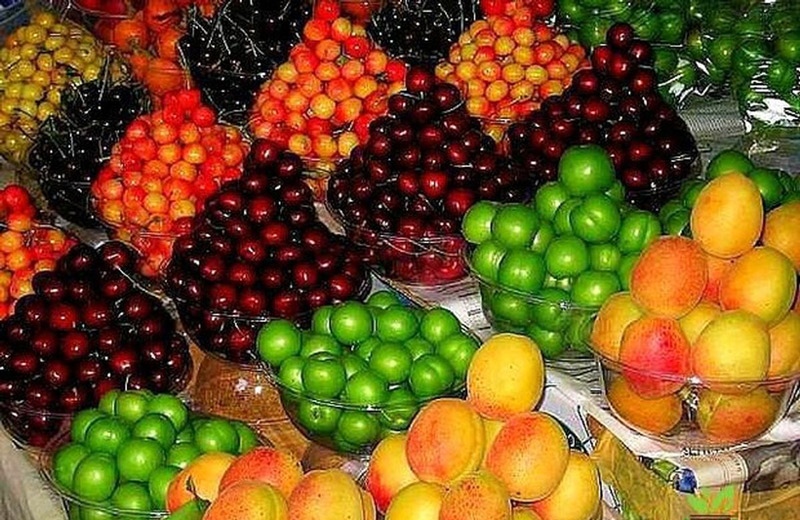 میوه‌هایی برای نخوردن؛ نوبرانه‌هایی که کمتر کسی توان خرید آن‌ها را دارد