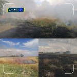 انجام عملیات آتش زدن علف زار های خشک شده به صورت کنترل شده توسط اکیپ آتش نشانی شهر صالح آباد