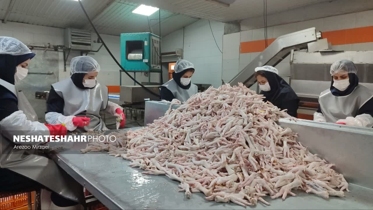 بازدید از دو تعاونی برتر استانی در شهرستان بهار/ مدیرکل تعاون، کار و رفاه اجتماعی استان همدان: ۱۳۳۷ تعاونی فعال در استان همدان وجود دارد که از این آمار، ۱۰۰ تعاونی به شهرستان بهار اختصاص دارد
