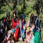 سومین جشنواره آلو در روستای حیدره قاضی خان برگزار شد