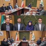 نشست نماینده مردم و فرمانداران بهار و کبودراهنگ با معاون رئیس‌جمهور و رئیس سازمان حفاظت محیط‌زیست کشور