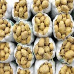 پیش‌بینی می‌شود با ورود مستمر سیب‌زمینی وارداتی، قیمت این محصول در محدوده ۳۰ هزار تومان تثبیت شود