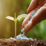 کودهای کشاورزی در شرکت خدمات حمایتی کشاورزی قبل از توزیع آنالیز و کنترل کیفی میشوند