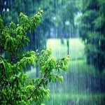آسمان در روز عید نوروز ابری و بارانی است
