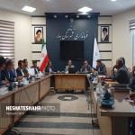 اهتمام دولت بر احیای جزیره شادی