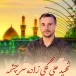 امروز یک دست تشییع می‌شود، بدون پیکر