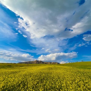 نگاهی به نمونه آثار عکاسی مسعود رحیمی