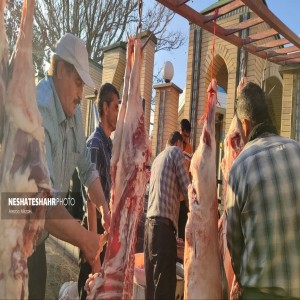 گزارش تصویری از تهیه وذبح ۸ راس گوسفند جهت رفع بلا از سطح شهر بهار