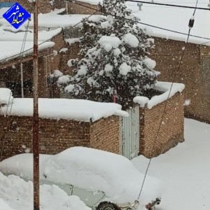 گزارش تصویری از بارش برف امروز در روستای زاغه