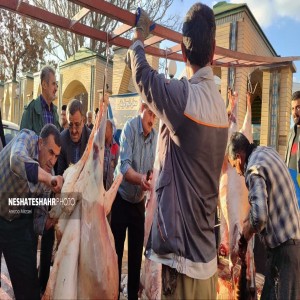 گزارش تصویری از تهیه وذبح ۸ راس گوسفند جهت رفع بلا از سطح شهر بهار