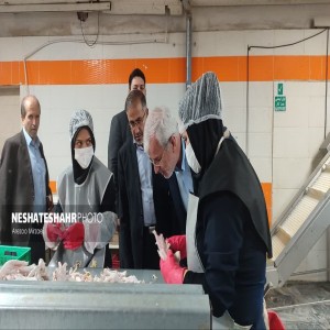 گزارش تصویری از بازدید از دو تعاونی برتر استانی در شهرستان بهار