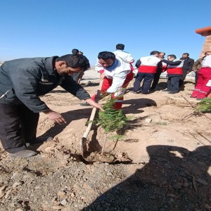 گزارش تصویری از روز درختکاری در شهرستان بهار