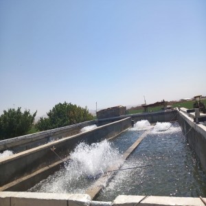 گزارش تصویری از افتتاح پروژه های بخش لالجین در چهارمین روز از هفته دولت