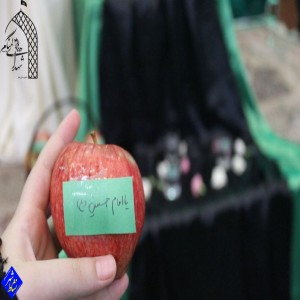 گزارش تصویری از اعتکاف دختران دانش آموز ۱۴۰۲ در مسجد امام خمینی(ره) شهرک فرهنگیان بهار