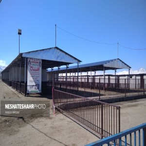 گزارش تصویری از افتتاح پروژه در هفتمین روز از دهه فجر در بخش صالح آباد