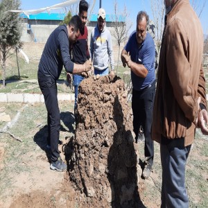 گزارش تصویری از برگزاری جشنواره کوره سیب زمینی در روستای حسام آباد شهرستان بهار