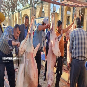 گزارش تصویری از تهیه وذبح ۸ راس گوسفند جهت رفع بلا از سطح شهر بهار