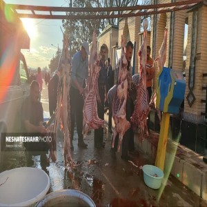 گزارش تصویری از تهیه وذبح ۸ راس گوسفند جهت رفع بلا از سطح شهر بهار