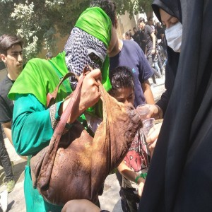 گزارش تصویری از برگزاری مراسم عزاداری روز عاشورا در بهار