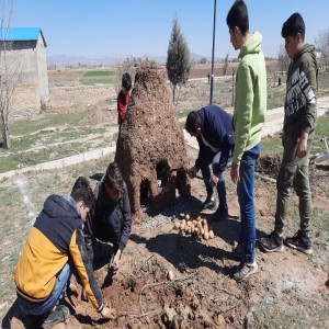 گزارش تصویری از برگزاری جشنواره کوره سیب زمینی در روستای حسام آباد شهرستان بهار