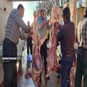 گزارش تصویری از تهیه وذبح ۸ راس گوسفند جهت رفع بلا از سطح شهر بهار