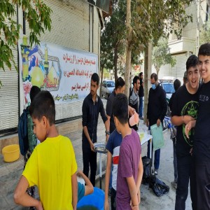 پیاده روی جاماندگان اربعین