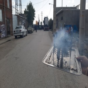 ورود کاروان عراقی حرم امام رضا به حسام آباد و استقبال اهالی روستا از این کاروان