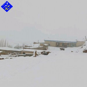 گزارش تصویری از بارش برف امروز در روستای زاغه