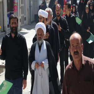 گزارش تصویری از راهپیمایی عزاداران در روز شهادت امام رضا (ع) در شهر بهار