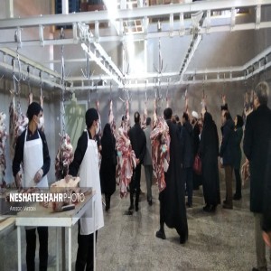 گزارش تصویری از افتتاح پروژه در هفتمین روز از دهه فجر در بخش صالح آباد