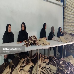 گزارش تصویری از بازدید از دو تعاونی برتر استانی در شهرستان بهار
