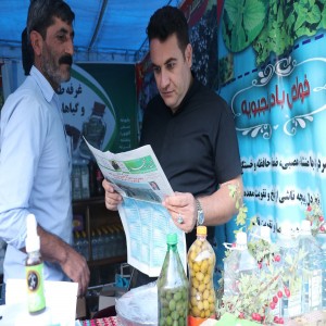 گزارش تصویری از جشنواره آلو و گردو در روستای حیدره قاضی خان