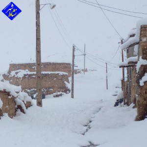 گزارش تصویری از بارش برف امروز در روستای زاغه
