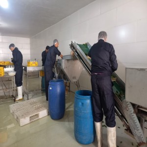 گزارش تصویری از افتتاح پروژه های بخش مرکزی در هفته دولت