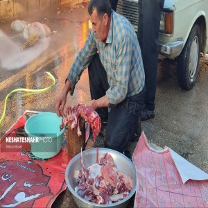 گزارش تصویری از تهیه وذبح ۸ راس گوسفند جهت رفع بلا از سطح شهر بهار
