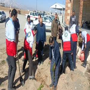 گزارش تصویری از روز درختکاری در شهرستان بهار